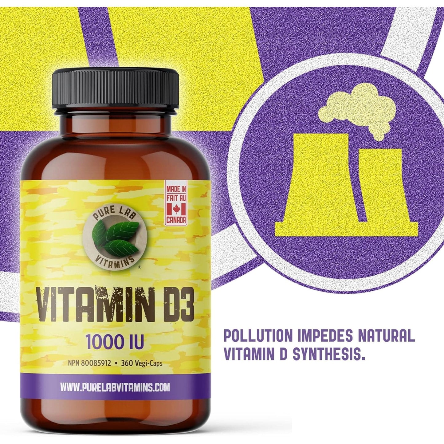 360 Vegetable Capsules | Pure Lab Vitamins Vitamin D3 1000 IU Infographic