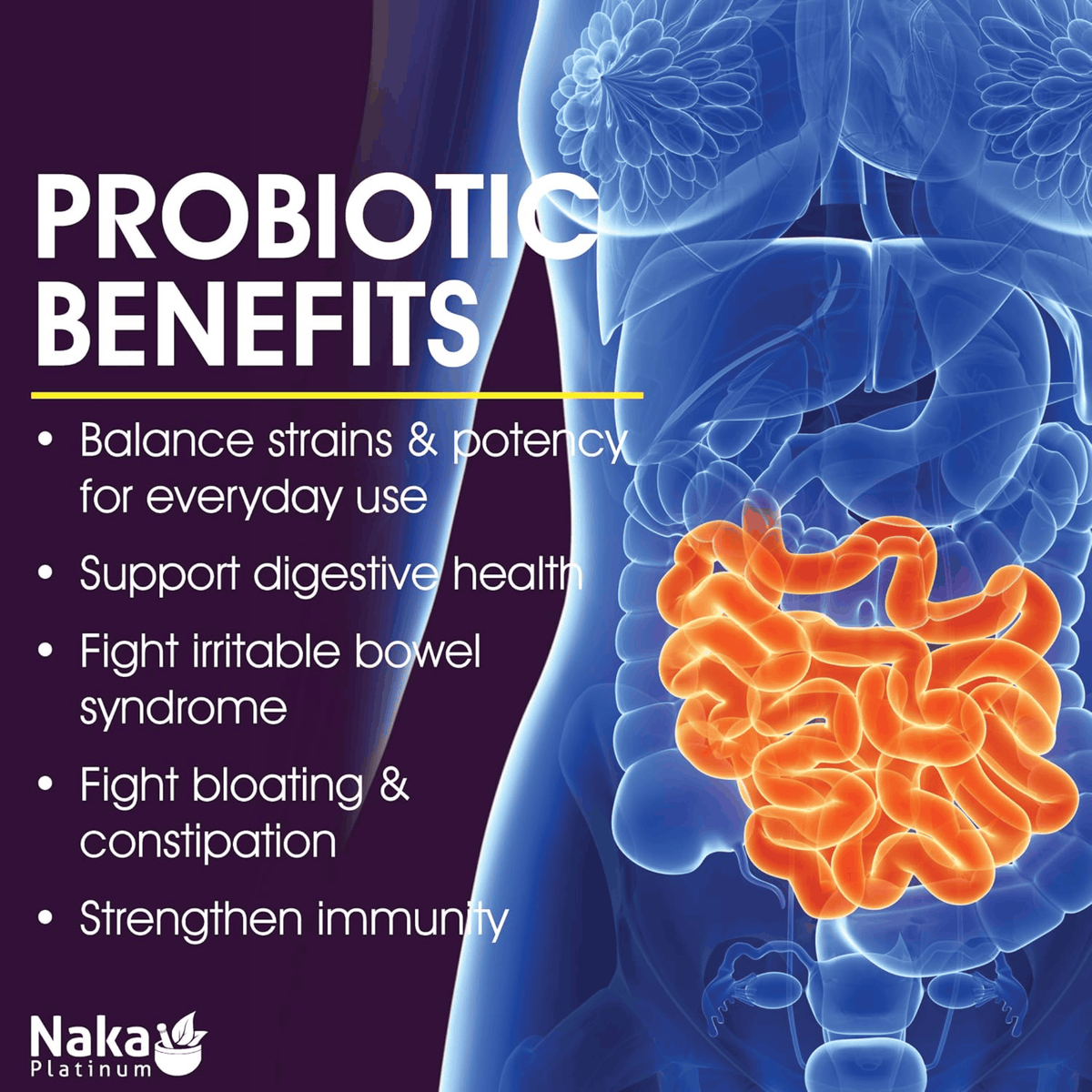 125ml Unflavoured | Naka Platinum Organic Probiotic 7 Liquid
