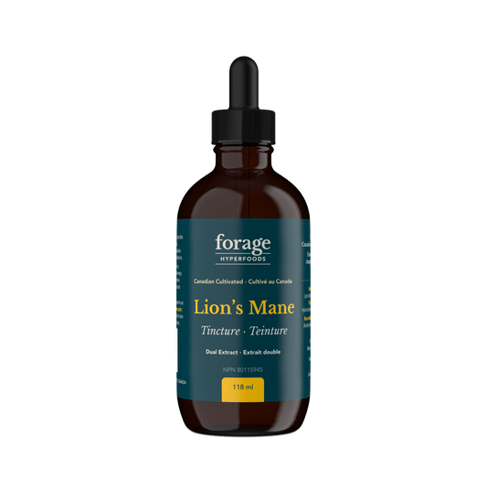 Forage Hyperfoods Lion's Mane tincture Original 118ml