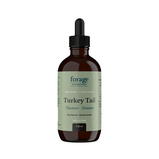 Forage Hyperfoods Turkey Tail tincture Original 118ml