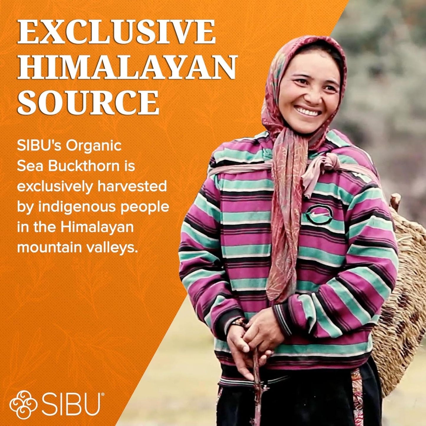 30mL | Sea Berry Therapy SIBU Nourishing Face Cream