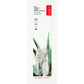 Radius Big Brush Toothbrush with Replaceable Head, Right or Left Hand, Soft Plant-Based Bristles, plus Replacement Heads - Replacement Heads, 2-Pack