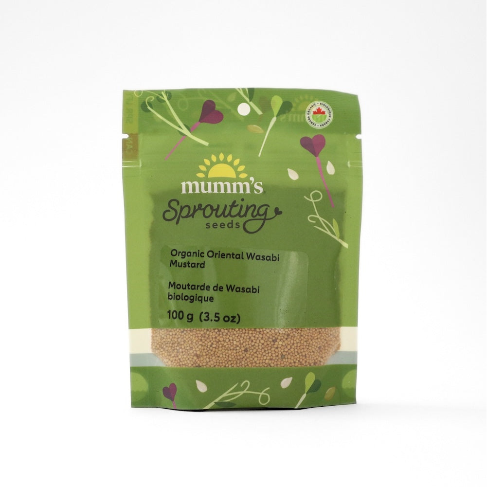 Mumm's Certified Organic Oriental Wasabi Mustard Sprouting Seeds, 100g