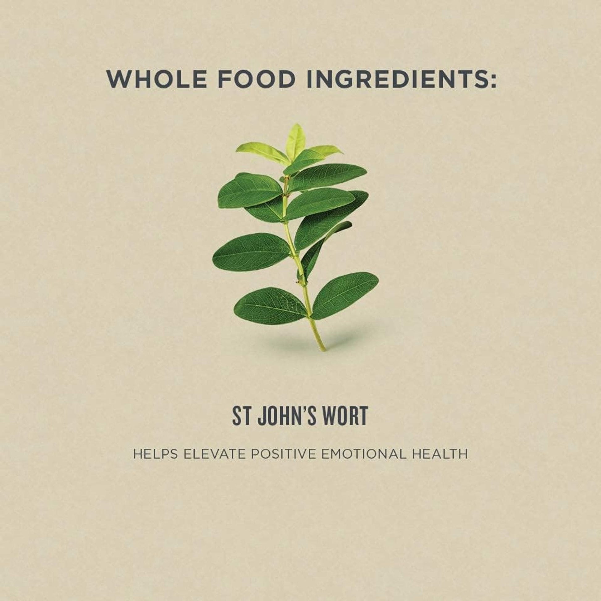 50 mL | Botanica St John's Wort Liquid Herb // main ingredient