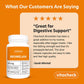 Vitacheck Bromelain 500mg Extra Strength, 2400 GDU/g, Digestive Enzyme From Pineapple, 75 Slow Release Vegetable Capsules CLEARANCE 25% Off Exp 9/28 Final Sale