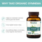 Himalaya Organic Gymnema 700mg, 60 Caplets, Helps Maintain Normal Blood Glucose Levels, USDA Certified Organic, Non-GMO, Gluten Free, 1 Month Supply