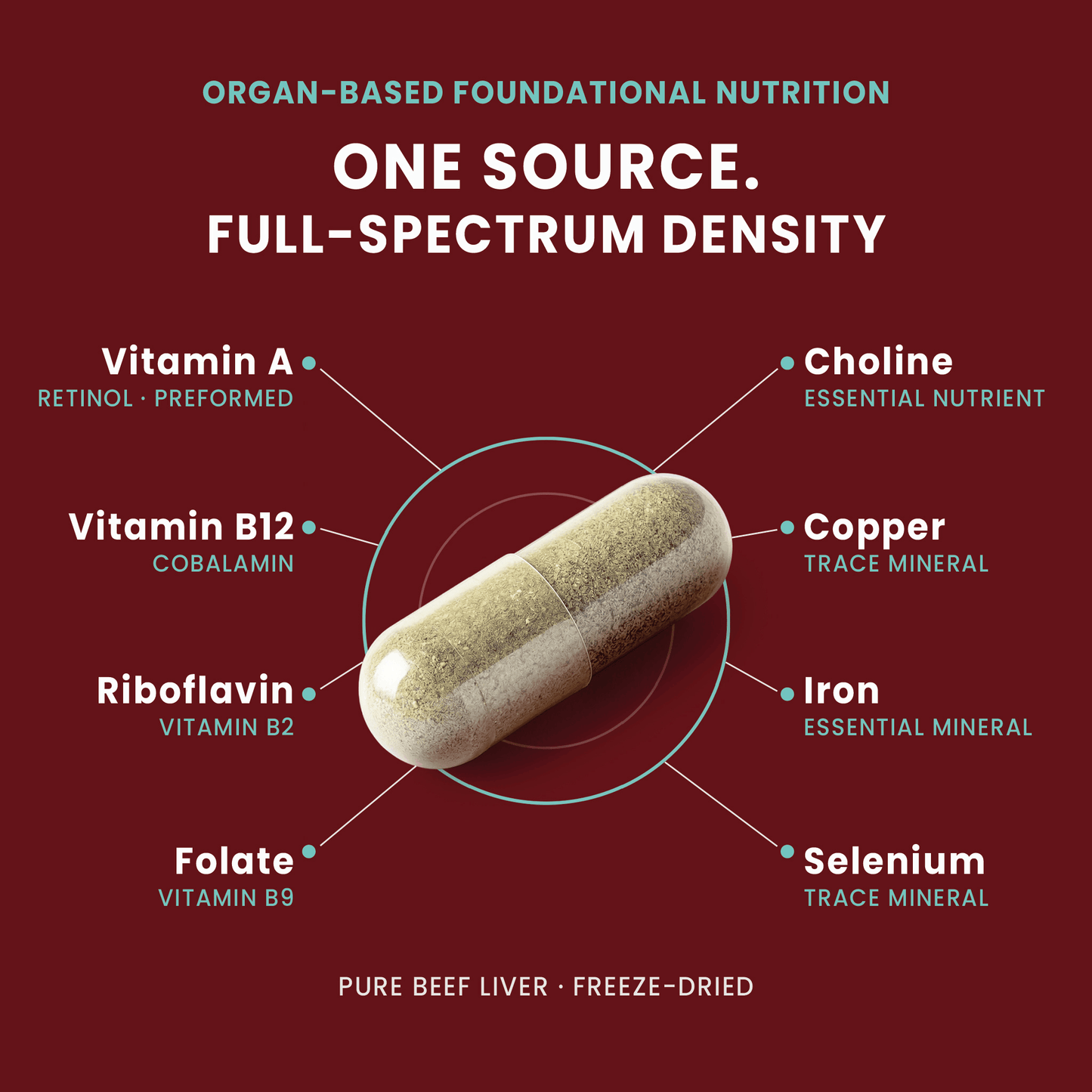 180 Capsules | IRONSIGHT Foundation Pure Beef Liver nutrients