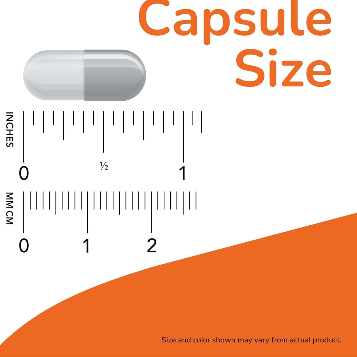 50 Vegetable Capsules | NOW L-Carnosine 500 mg