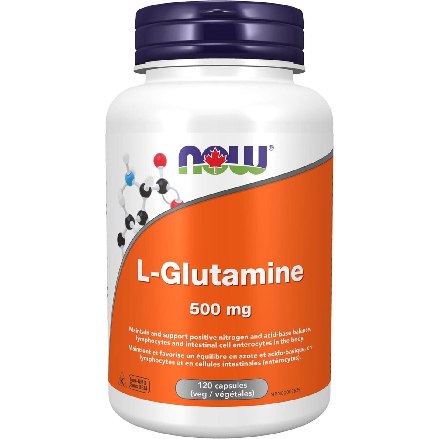 120 Vegetable Capsules | NOW L-Glutamine 500 mg