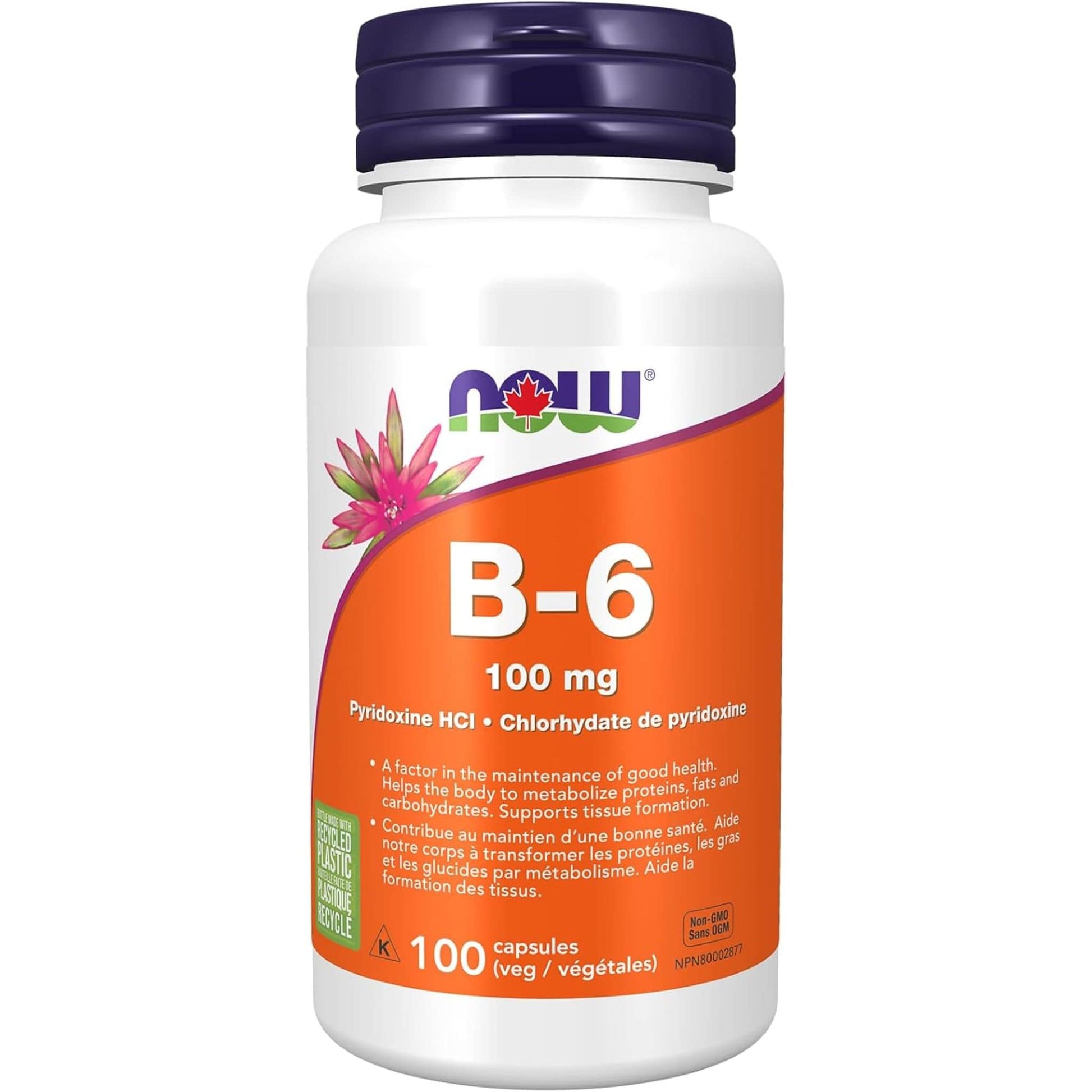 100 Vegetable Capsules | NOW B-6 100 mg Pyridoxine HCI