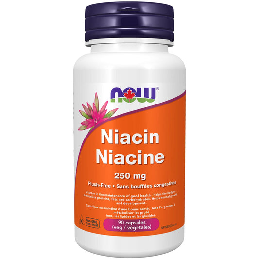 90 Vegetable Capsules | NOW Niacin 250 mg Flush Free