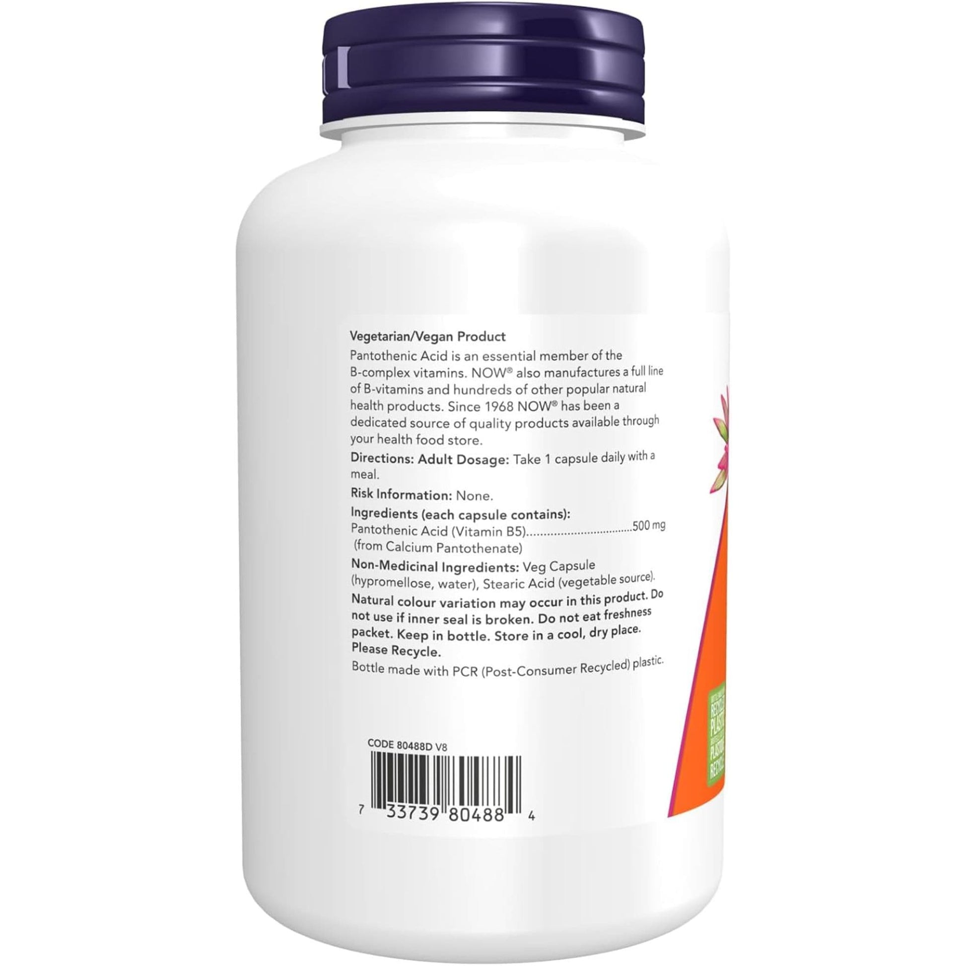 250 Vegetable Capsules | NOW Pantothenic Acid 500 mg
