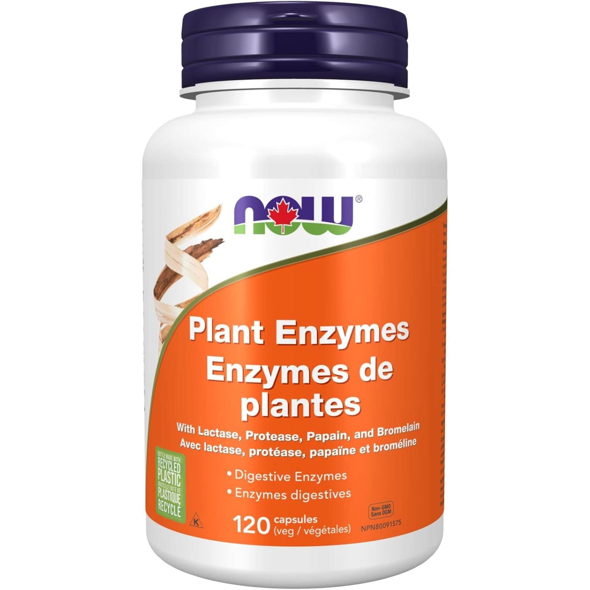 120 Vegetable Capsules | NOW Plant Enzymes With Lactase, Protease, Papain, and Bromelain