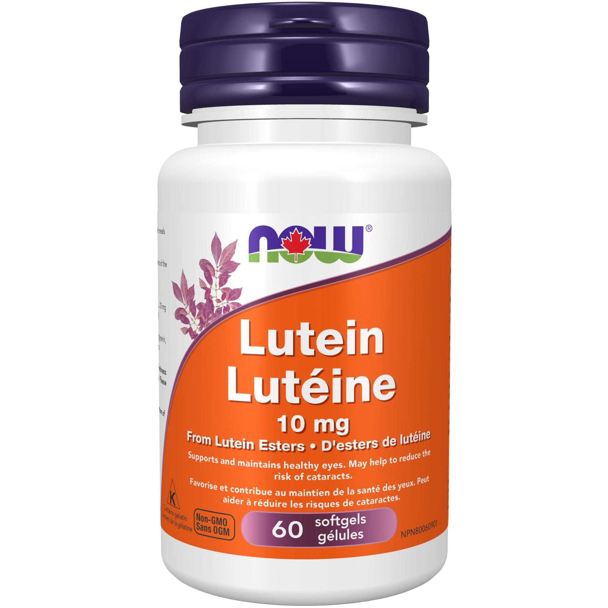 60 Softgels | NOW Lutein 10 mg From Lutein Esters