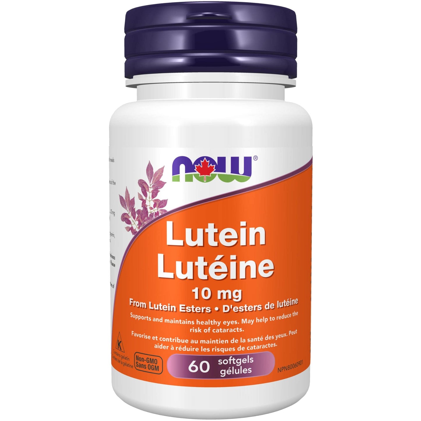 60 Softgels | NOW Lutein 10 mg From Lutein Esters