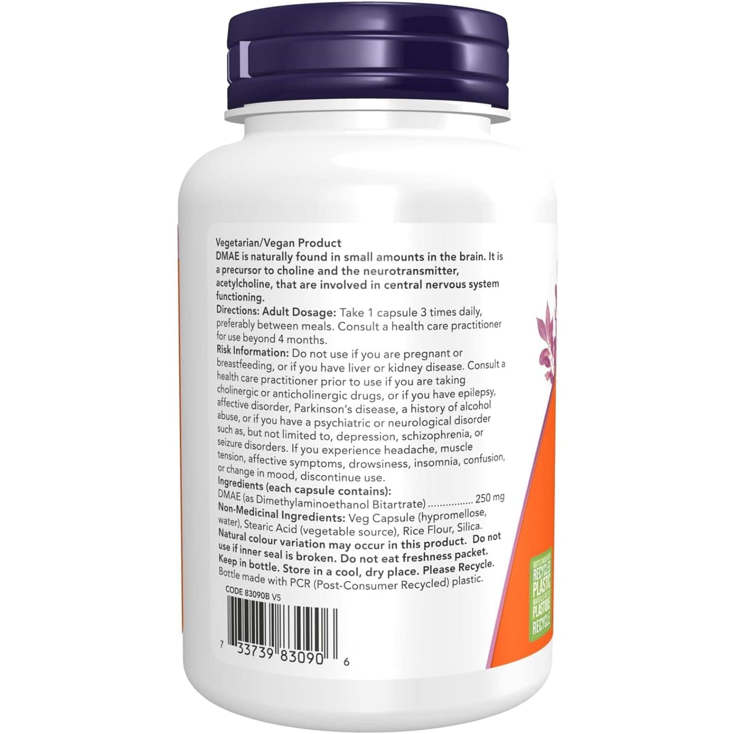 100 Vegetable Capsules | NOW DMAE Dimethylaminoethanol 250 mg