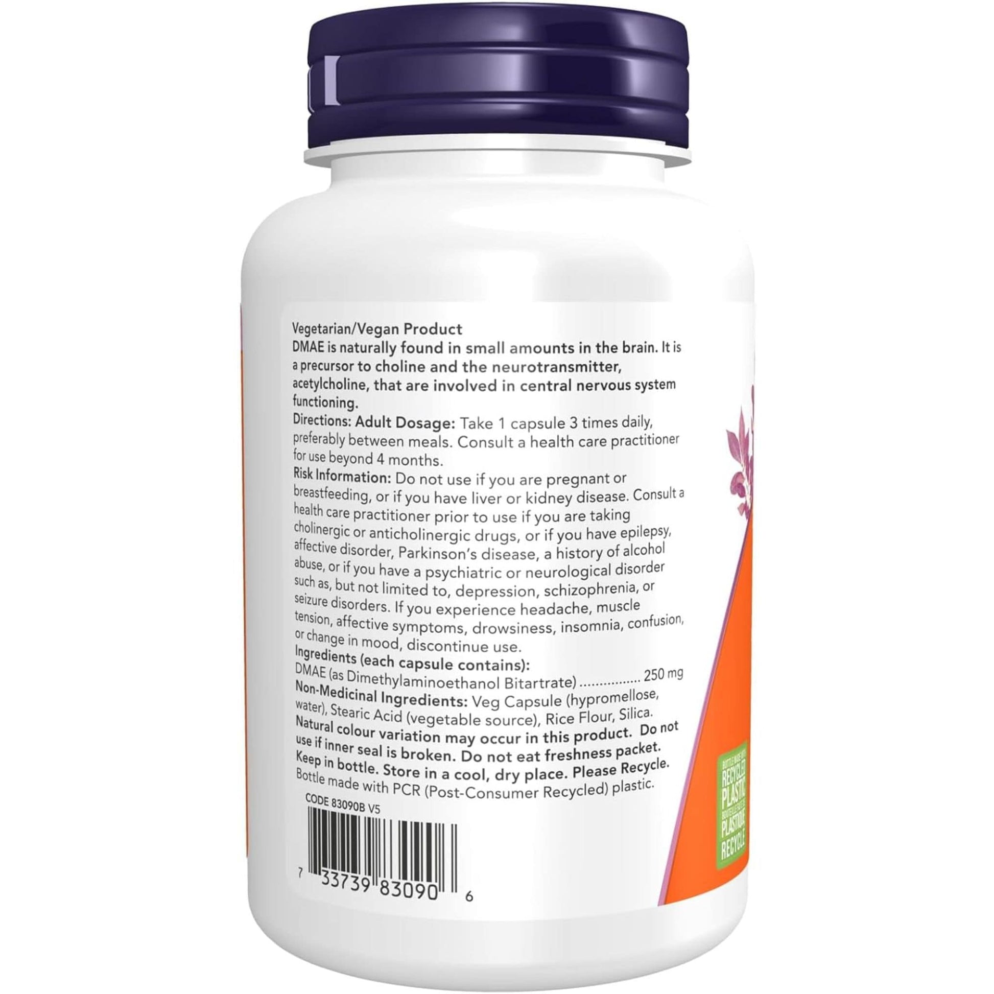100 Vegetable Capsules | NOW DMAE Dimethylaminoethanol 250 mg