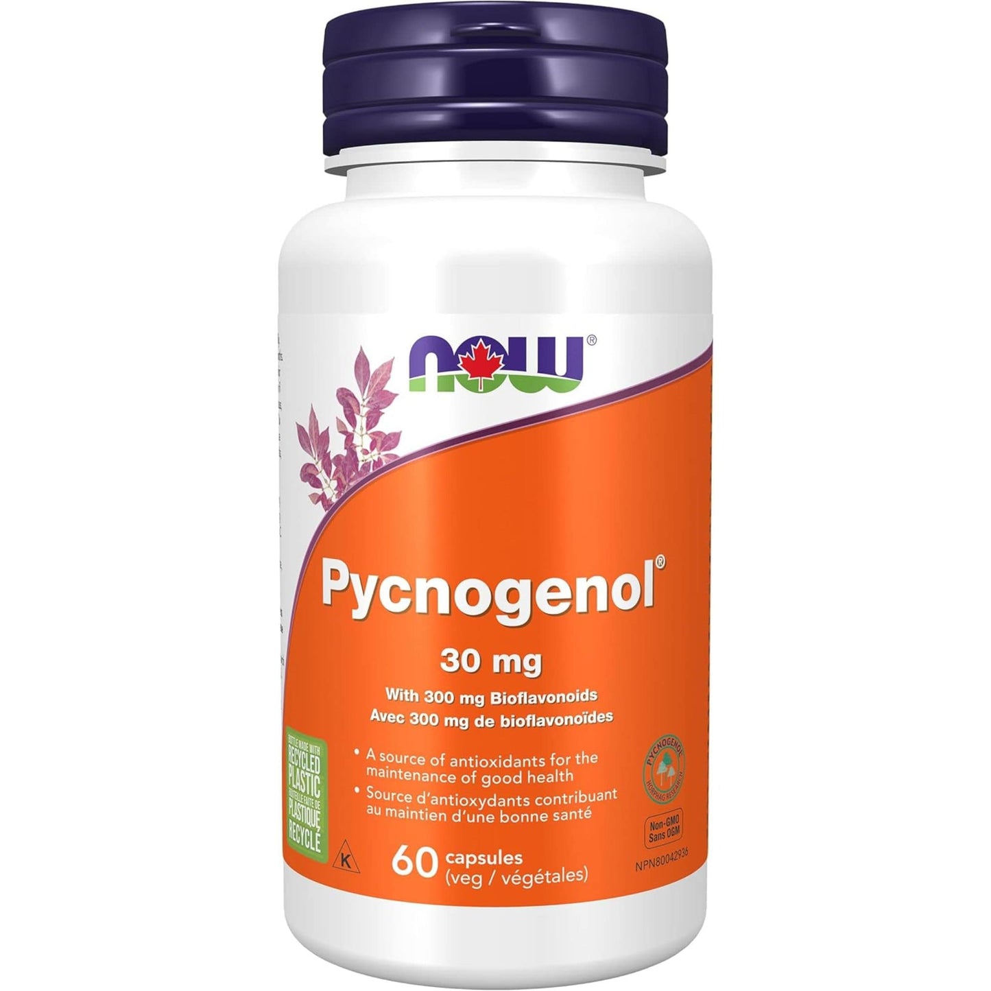 60 Vegetable Capsules | NOW Pycnogenol 30 mg with 300 mg Bioflavonoids
