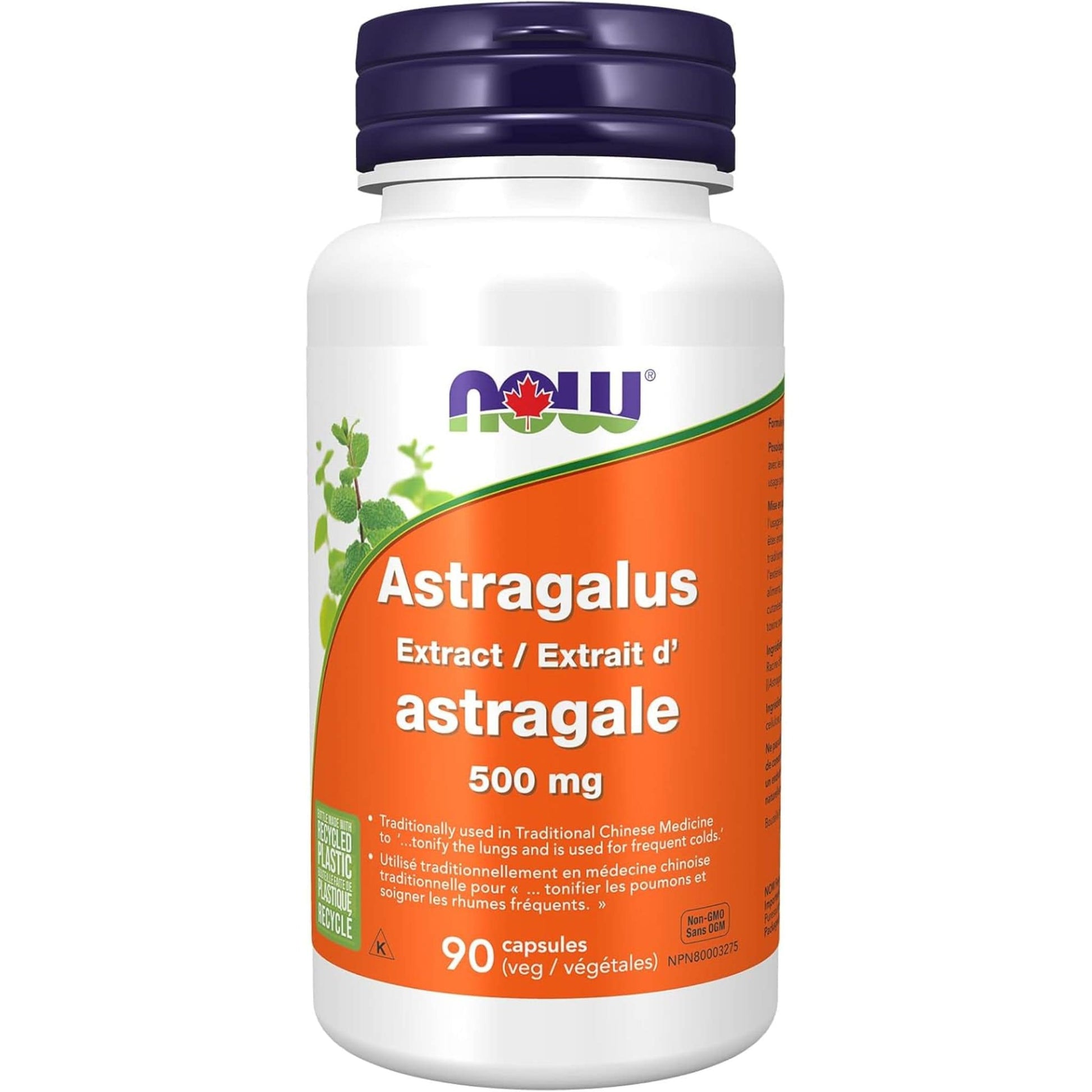 90 Vegetable Capsules | NOW Astragalus Extract 500 mg