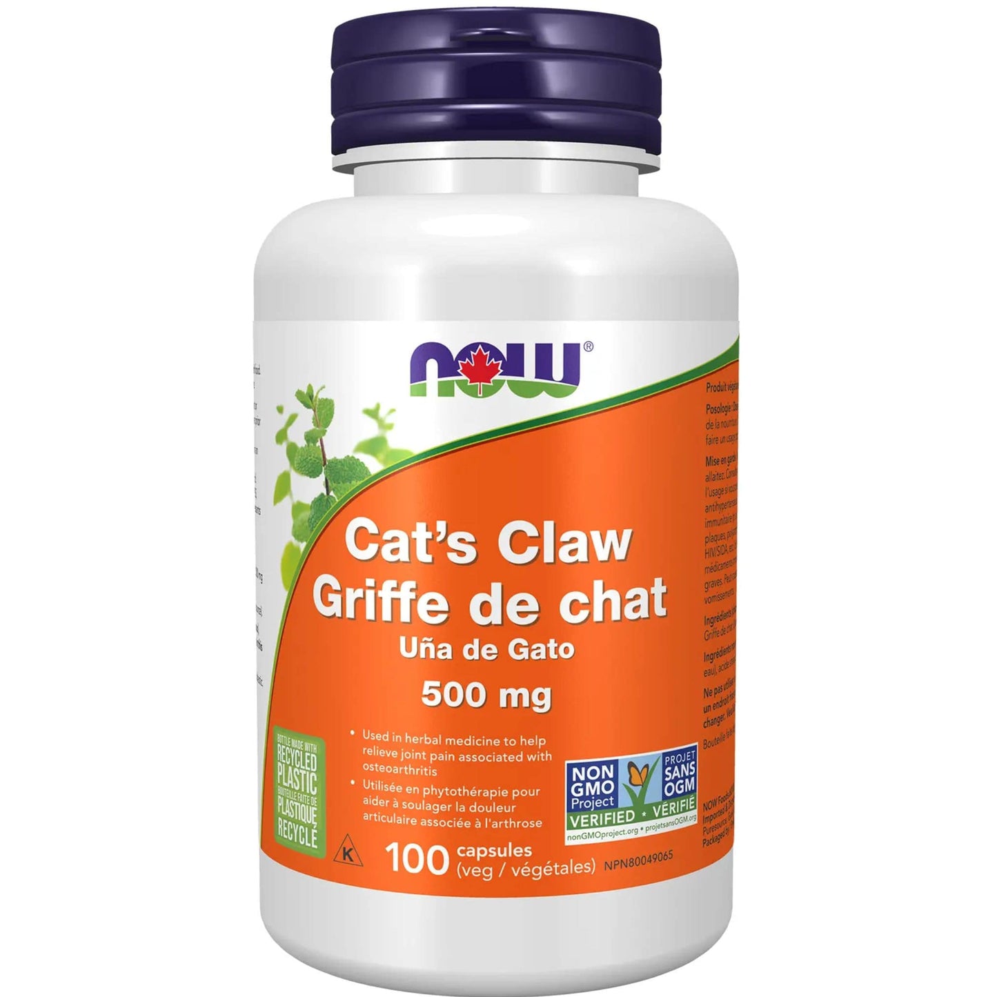 100 Vegetable Capsules | NOW Cat's Claw 500 mg