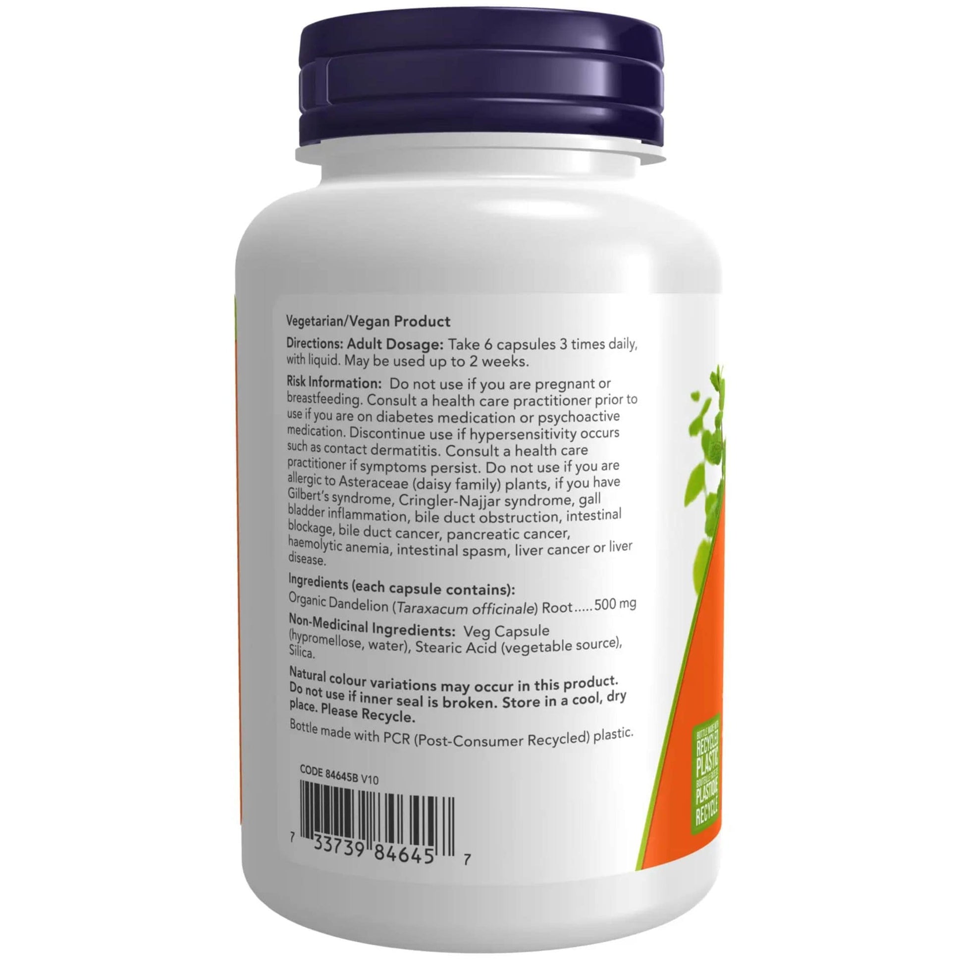 100 Vegetable Capsules | NOW Dandelion Root 500 mg