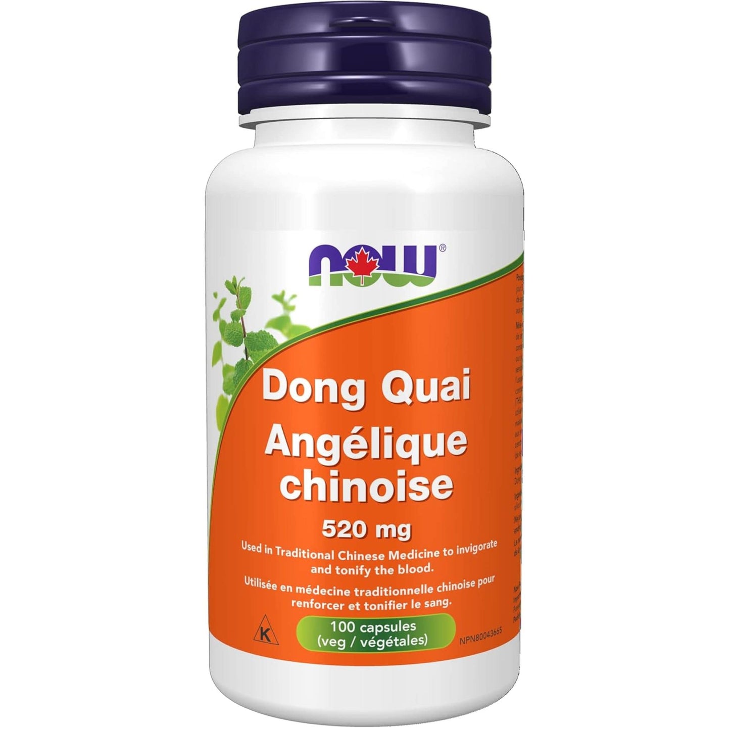 100 Vegetable Capsules | NOW Dong Quai 520 mg