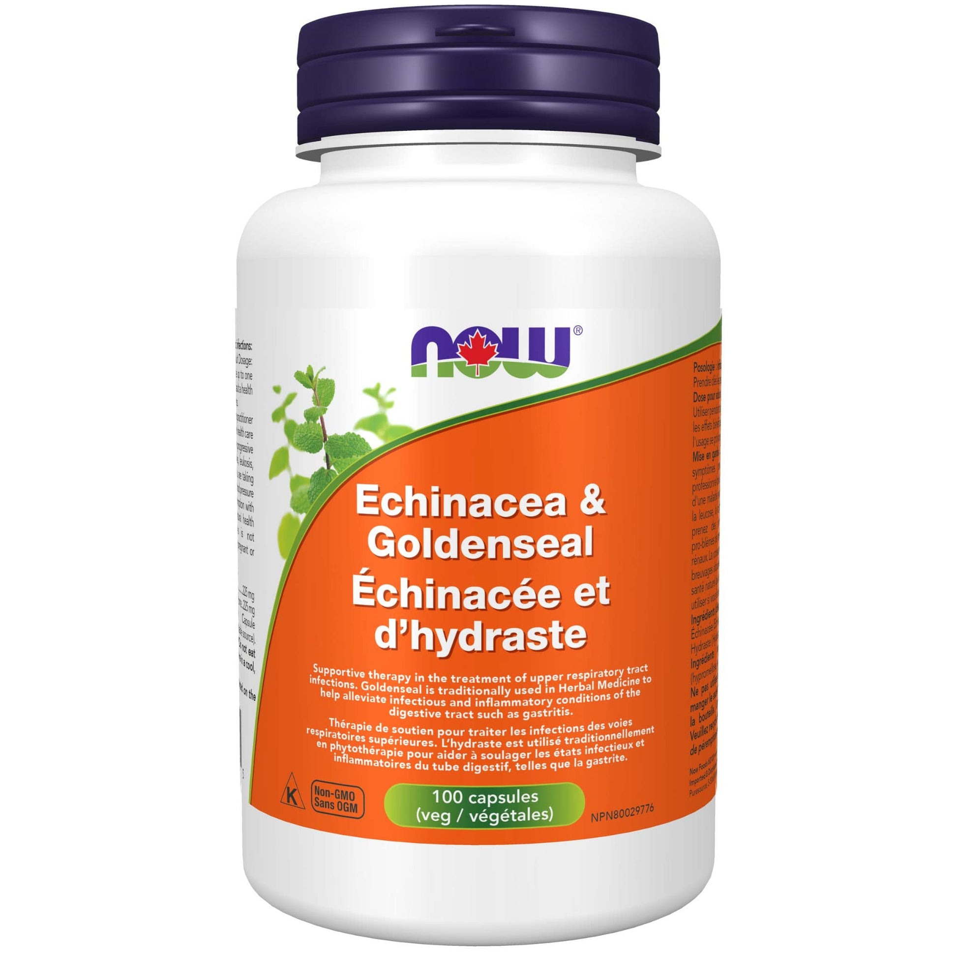 100 Vegetable Capsules | NOW Echinacea and Goldenseal