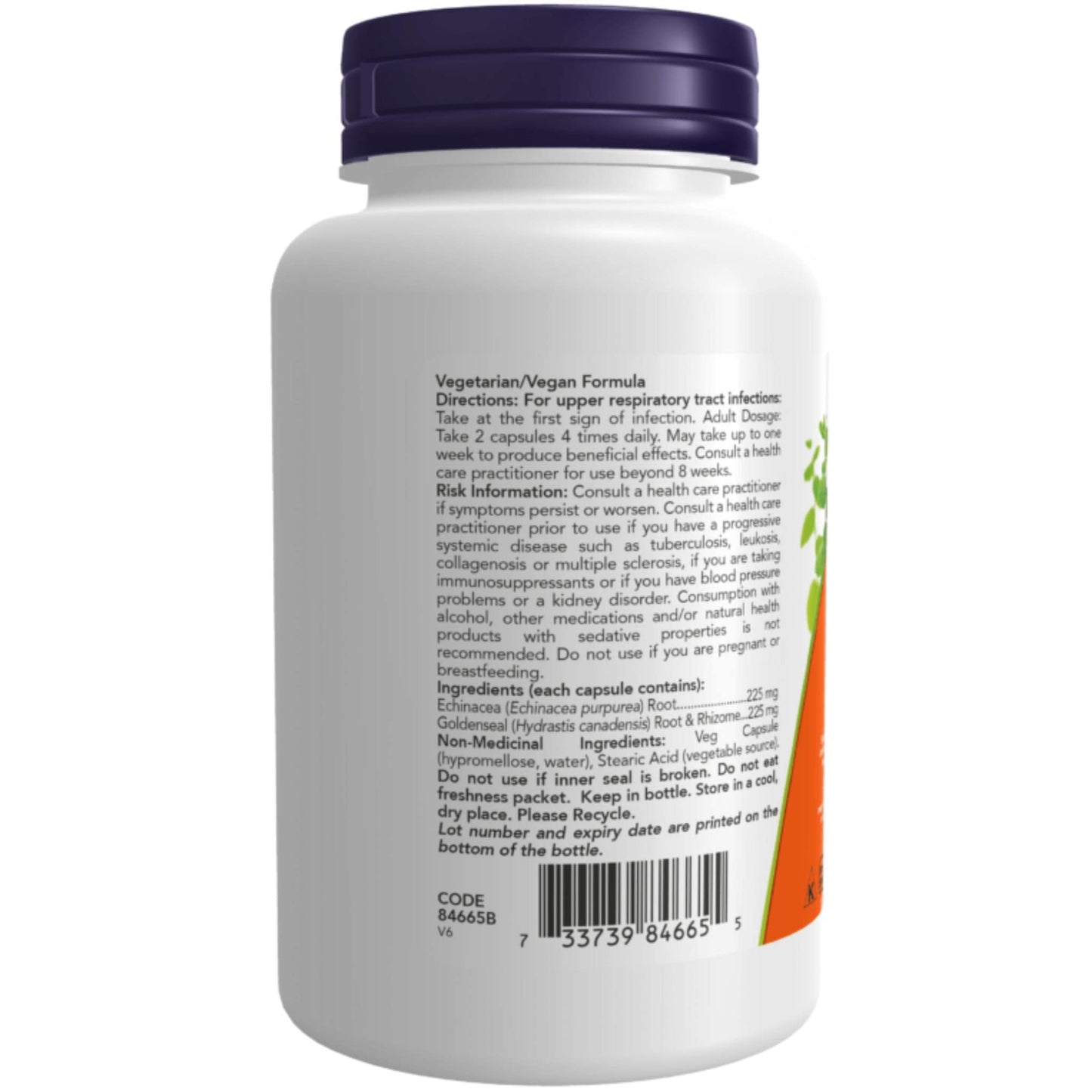 100 Vegetable Capsules | NOW Echinacea and Goldenseal