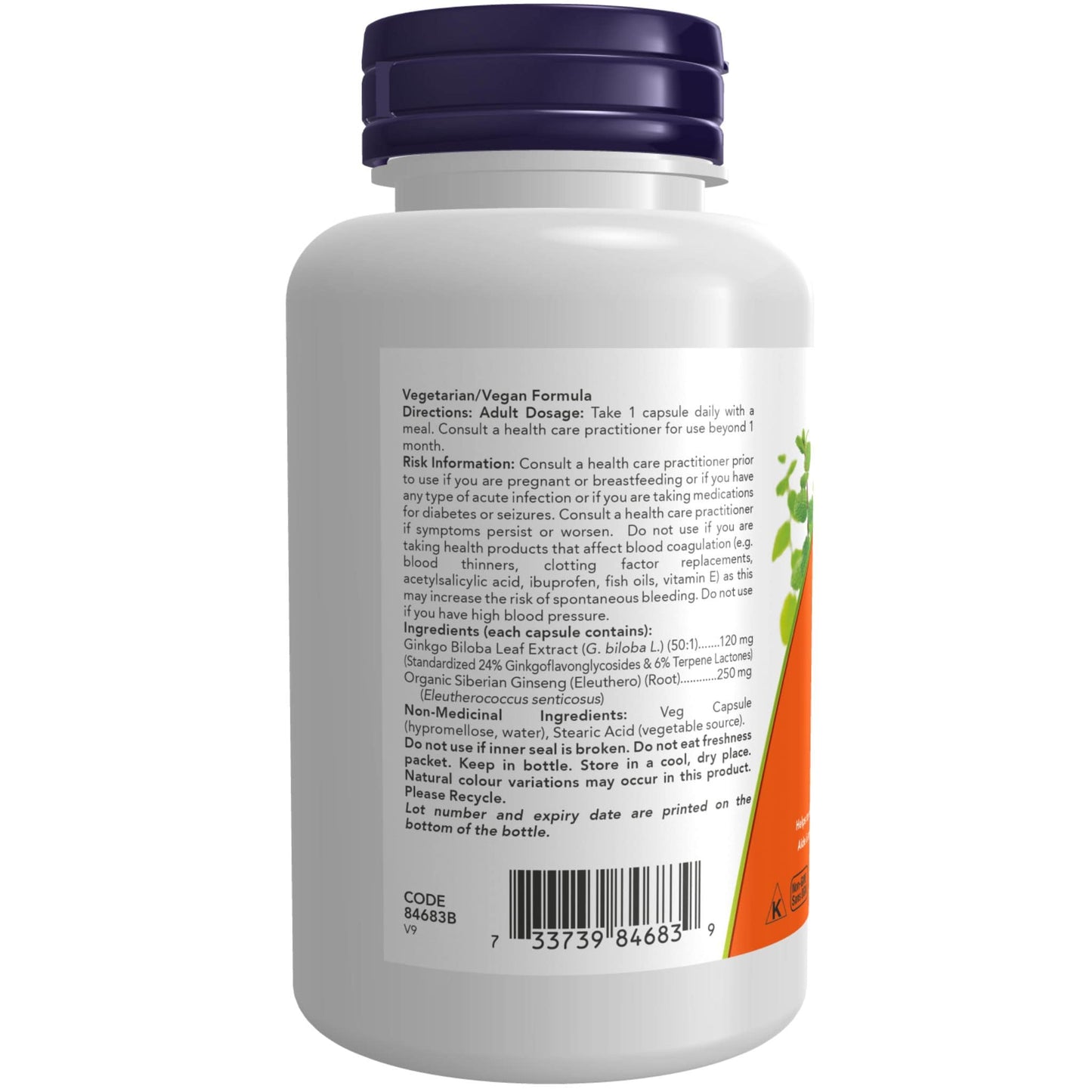 100 Vegetable Capsules | NOW Ginkgo Biloba 120 mg, 24% Standardized Extract with Siberian Ginseng