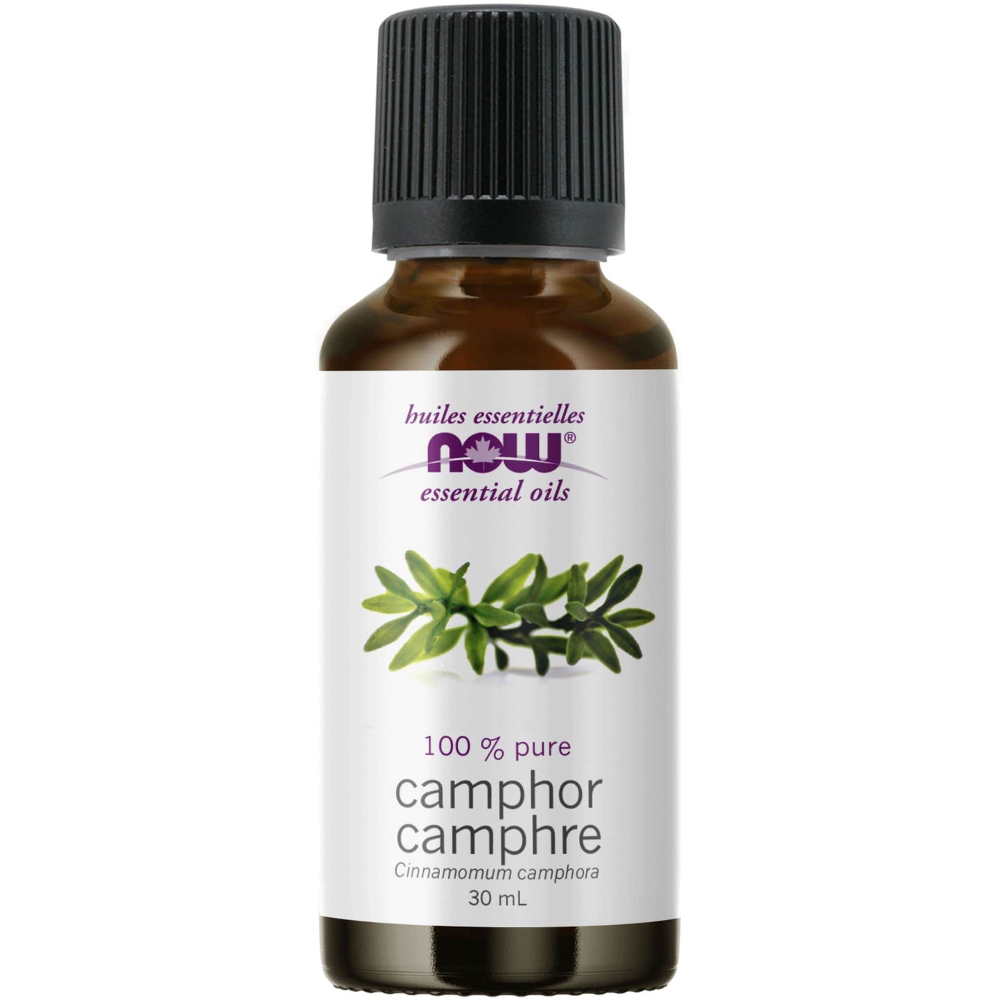 30mL | NOW Essential Oils 100% Pure Camphor Oil