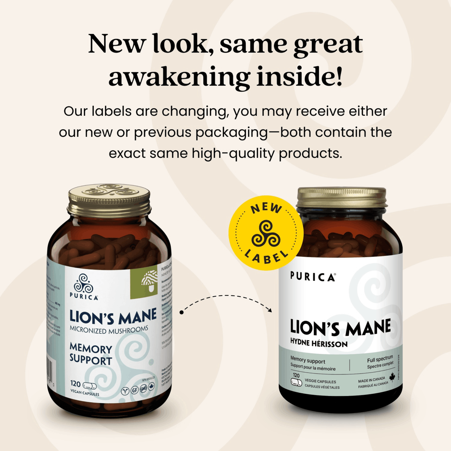 120 Vegetable Capsules | Purica Lion's Mane New Look