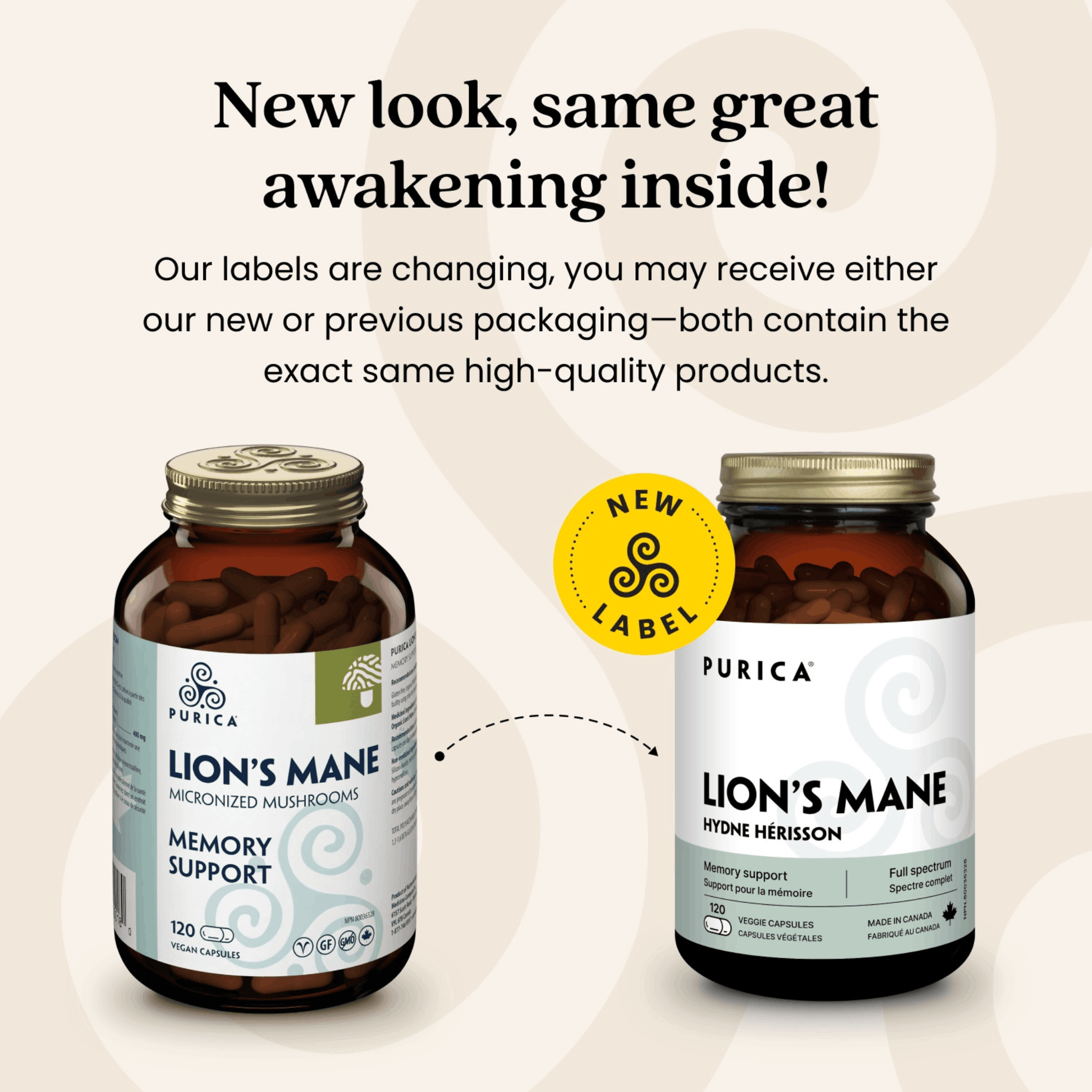 120 Vegetable Capsules | Purica Lion's Mane New Look