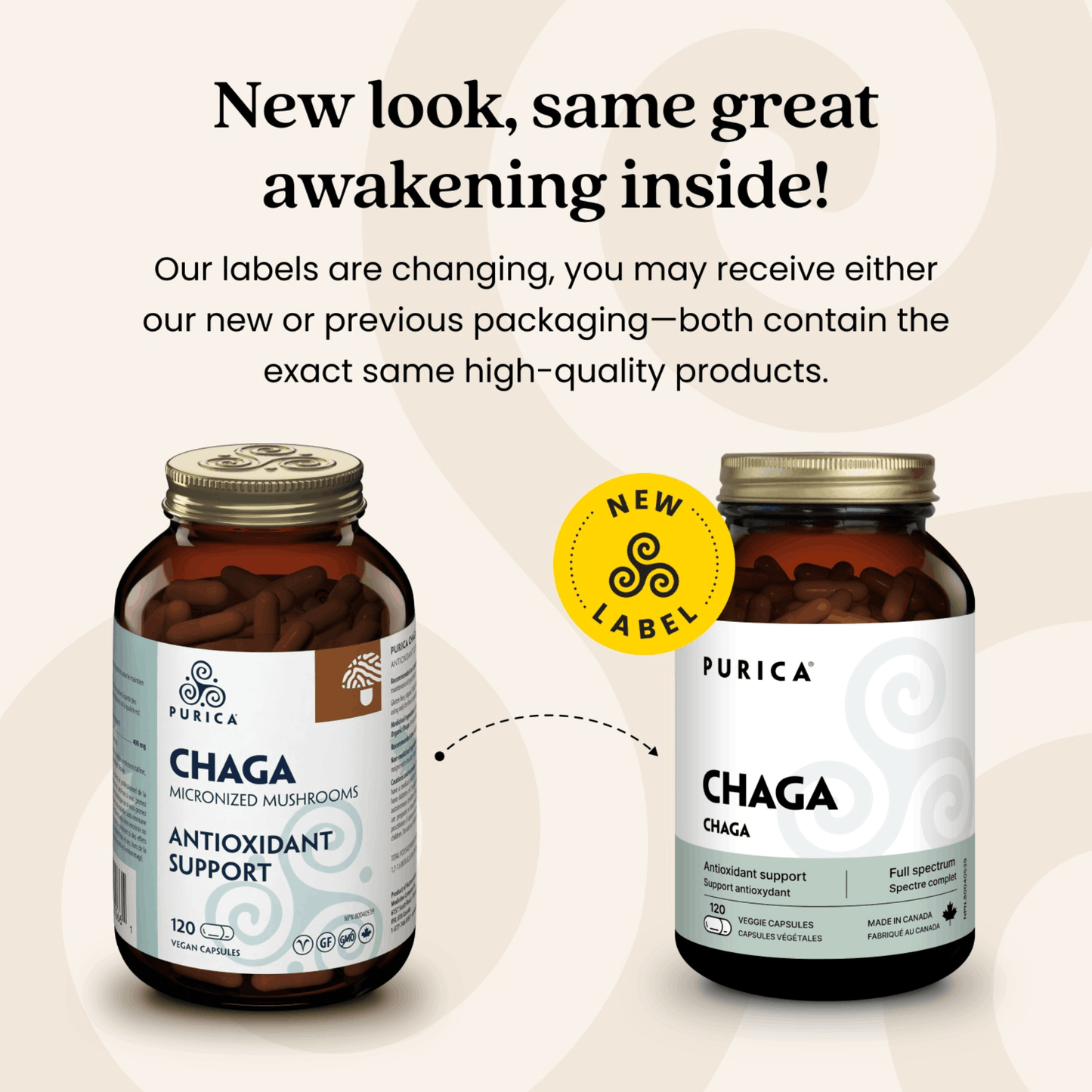 120 Vegetable Capsules | Purica Chaga