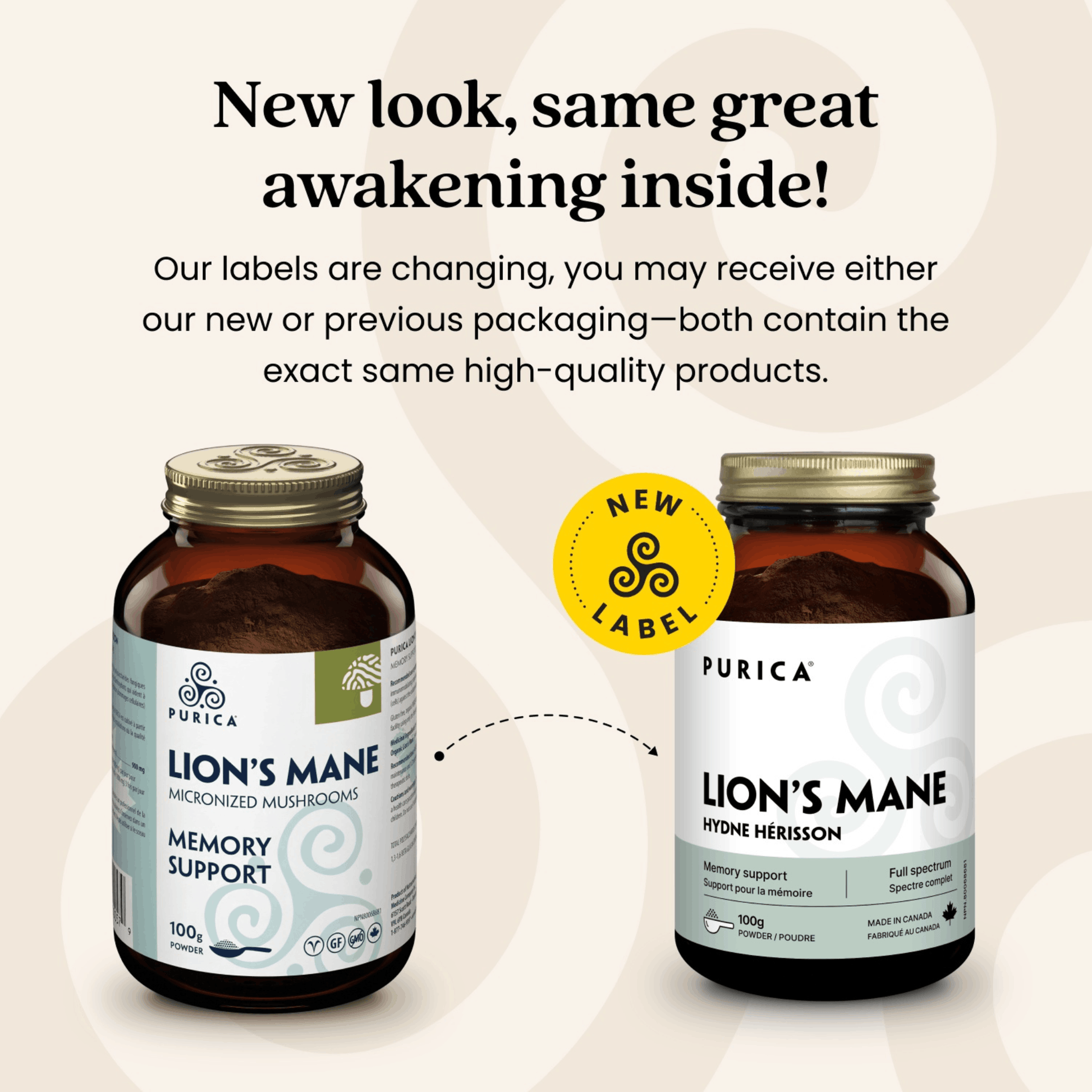 100g | Purica Lion's Mane Powder