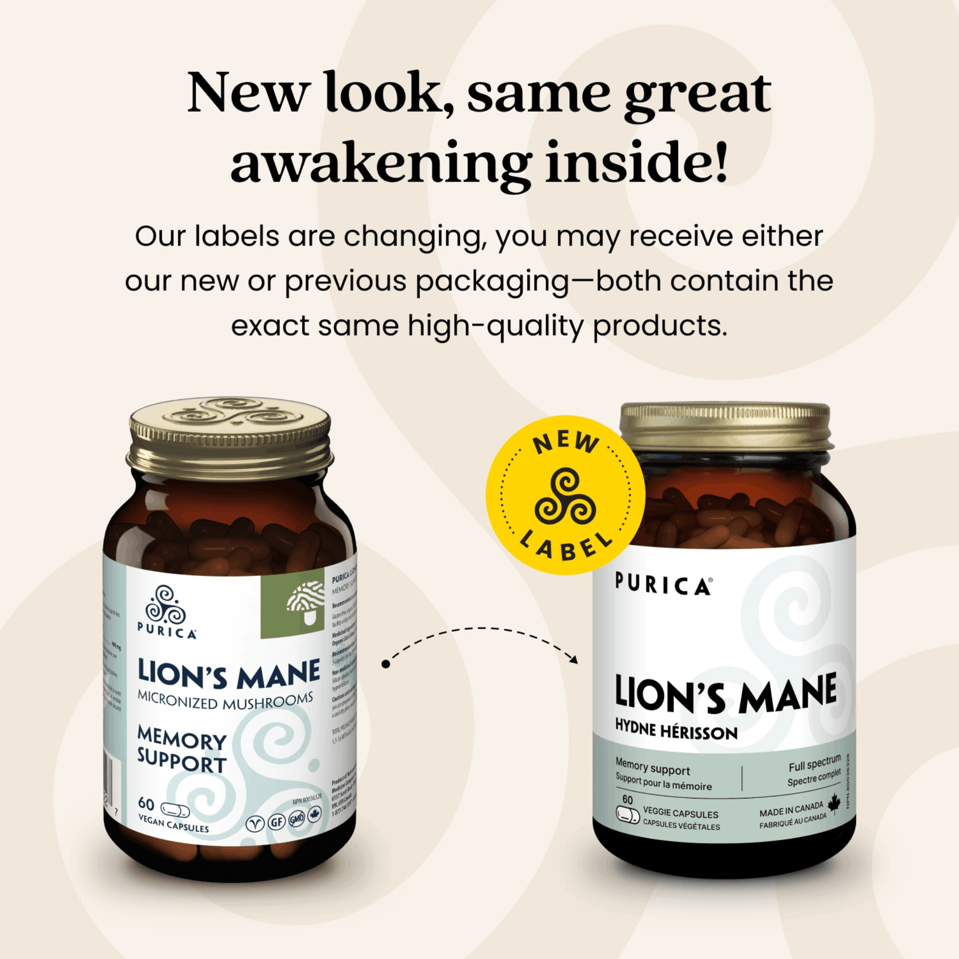 60 Vegetable Capsules | Purica Lion's Mane New Look