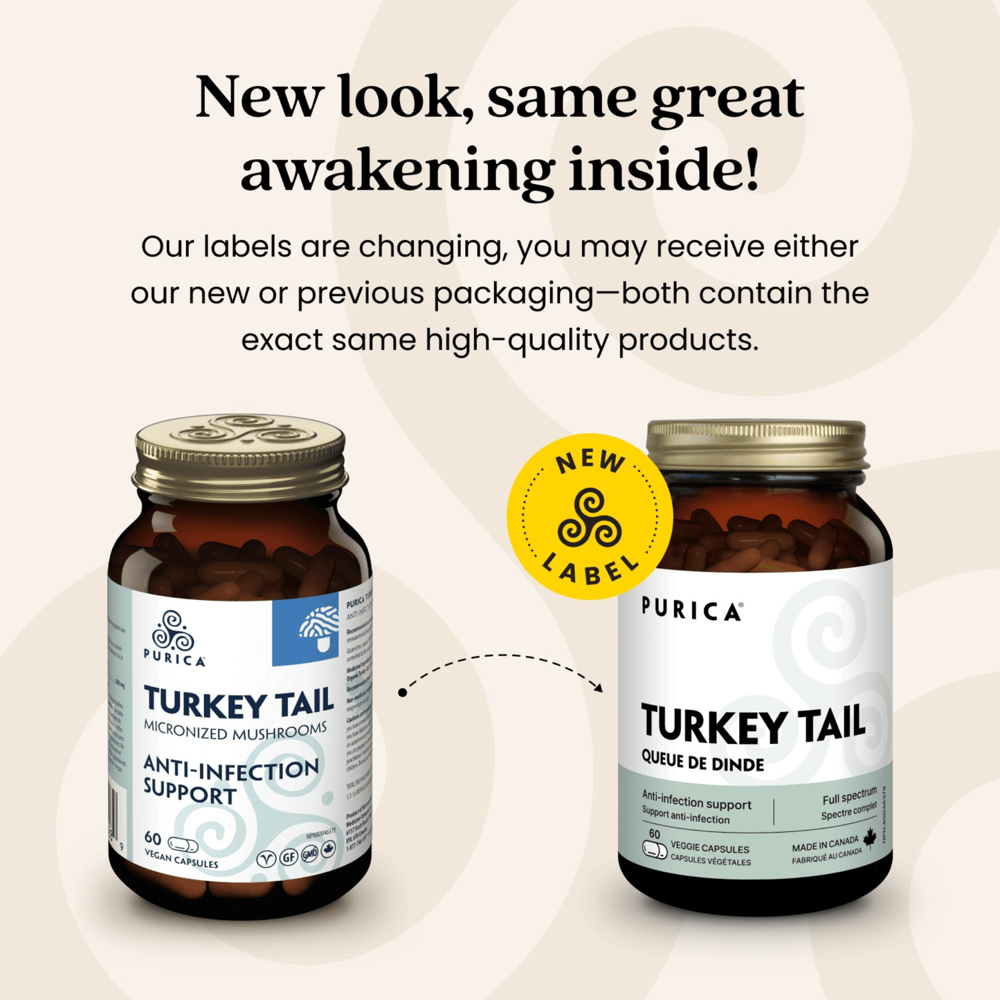 60 Vegetable Capsules | Purica Turkey Tail New Label