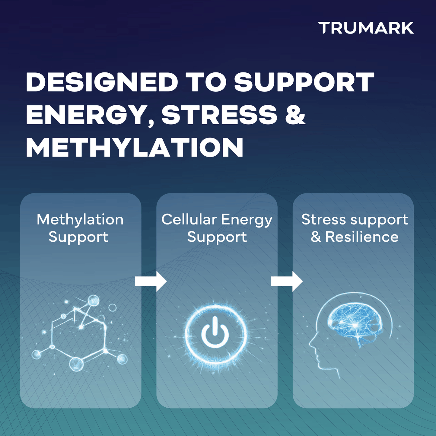 90 Vegetable Capsules | TRUMARK TRU-B Methylated B Complex with 5-MTHF, Methyl B12, P5p and R5P Benefits