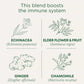 Traditional Medicinals Organic Echinacea Plus Elderberry Tea, 16 Wrapped Tea Bags