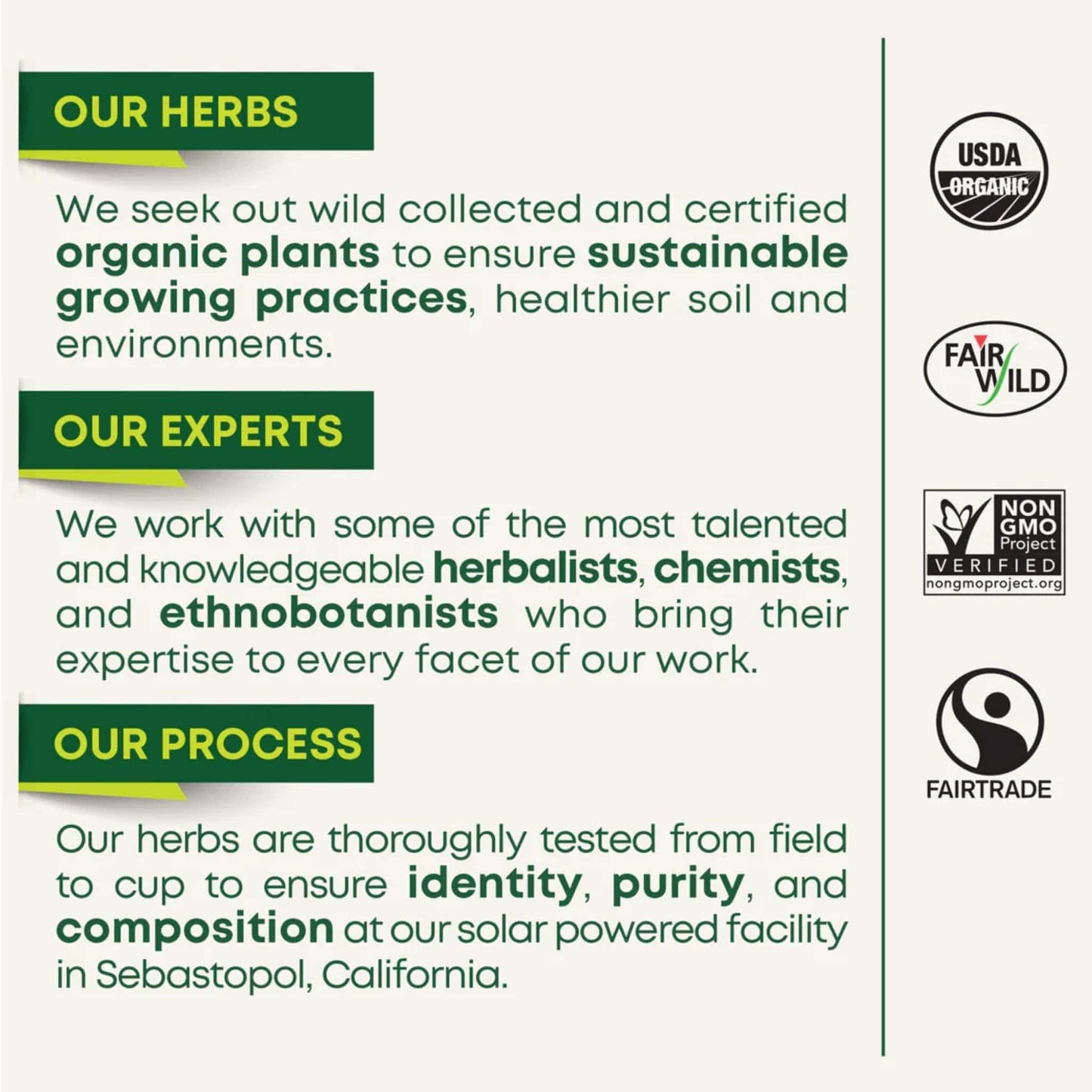 Traditional Medicinals Organic Echinacea Plus Elderberry Tea, 16 Wrapped Tea Bags