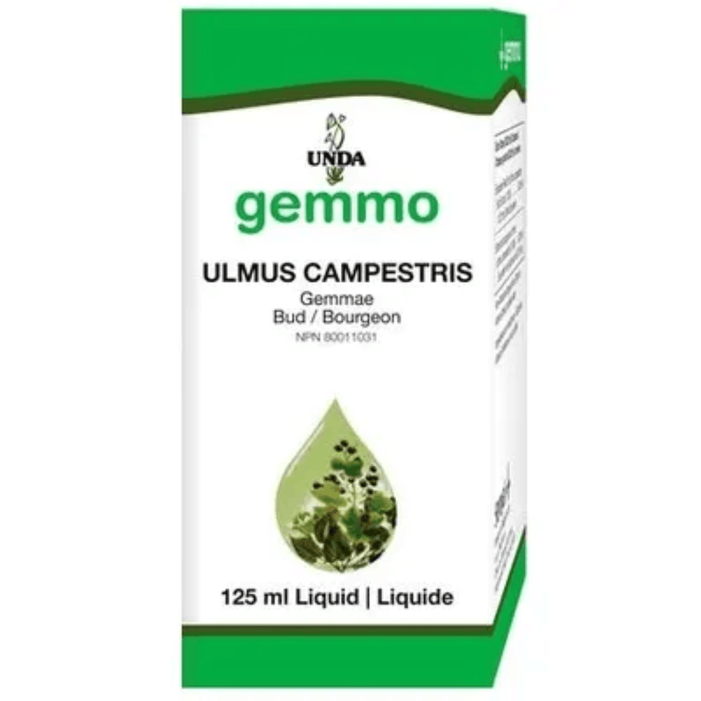 Unda Gemmo Ulmus Campestris Liquid, Skin Health, Acne and Eczema Support, 125ml