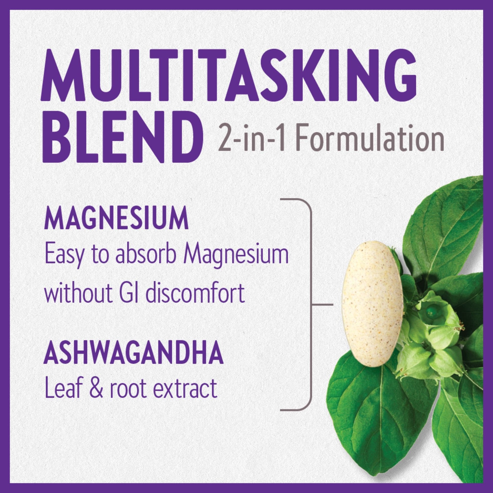 60 Tablets | New Chapter Magnesium and Ashwagandha Multitasking Blend