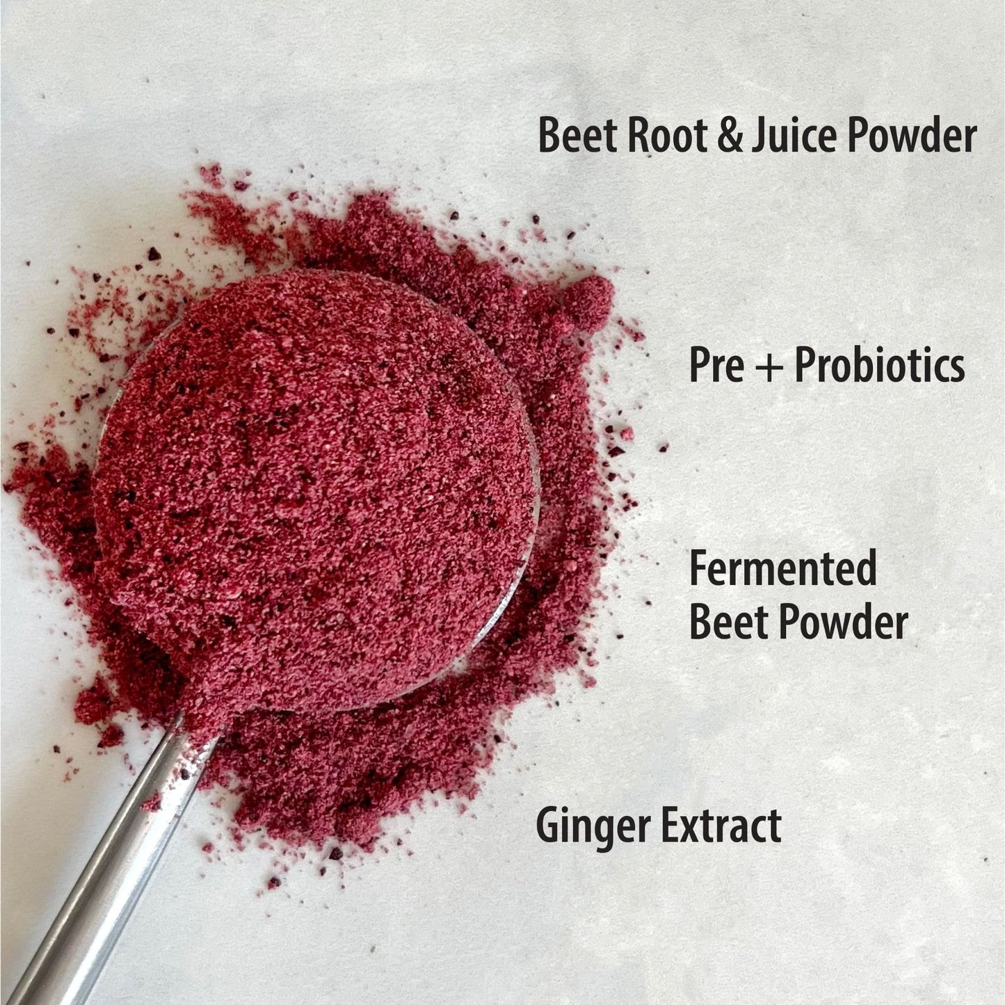 150g | Organic Traditions Beet Latte With Fermented Beet And Probiotics 5.3oz // Key Ingredients
