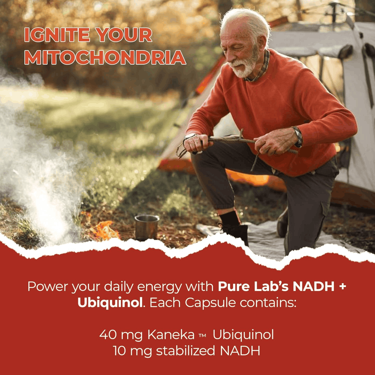 All | Pure Lab Vitamins NADH + Ubiquinol Infographic