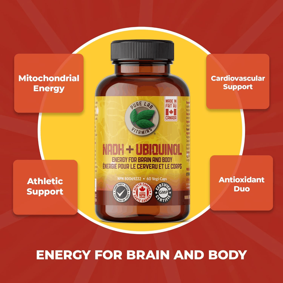 All | Pure Lab Vitamins NADH + Ubiquinol Infographic
