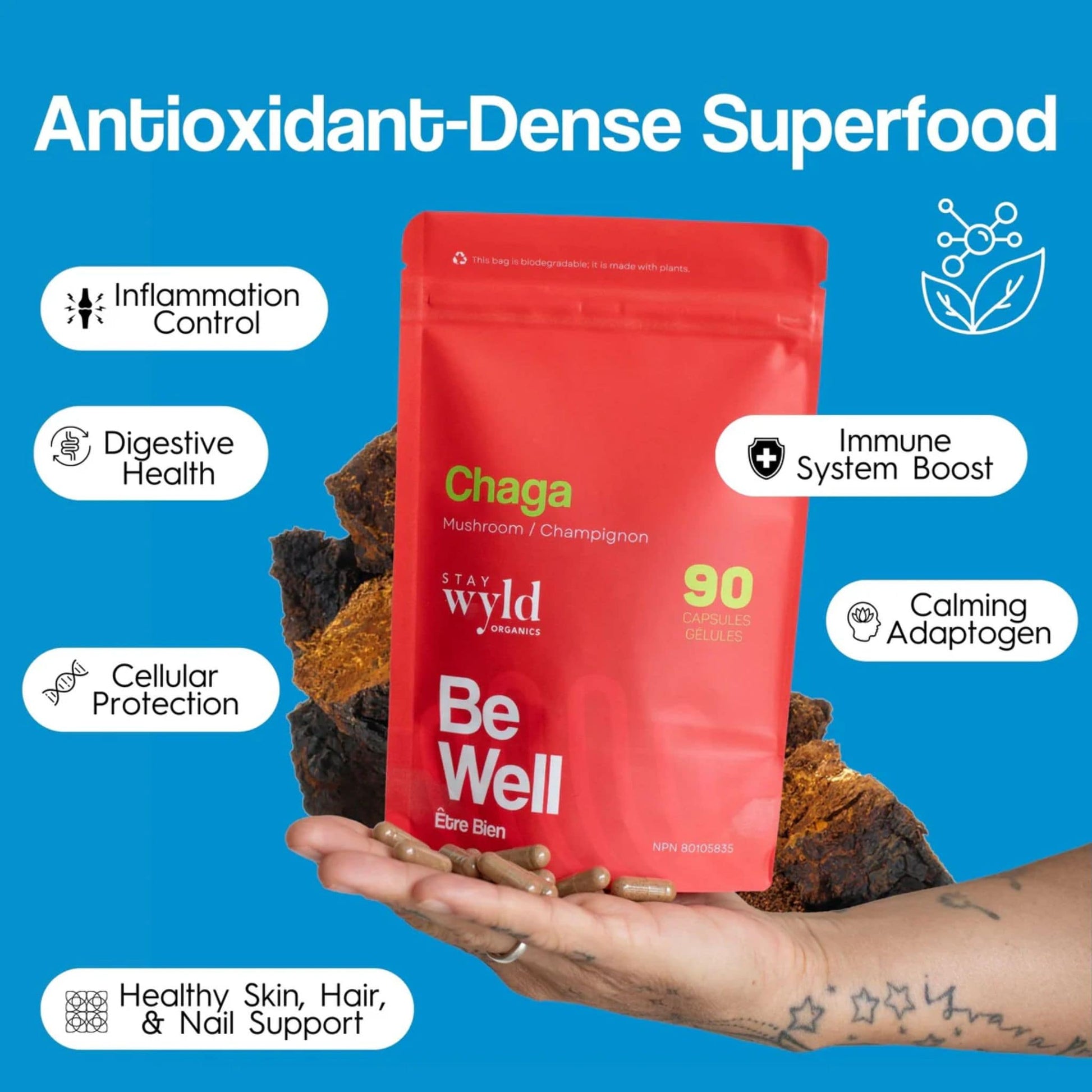 90 Capsules | Stay Wyld Organics Be Well, Chaga // benefits