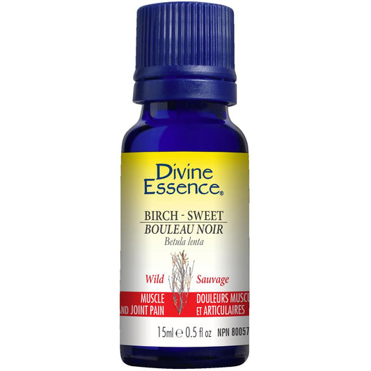 Divine Essence Birch- Sweet Essential Oil (Wild), 15ml