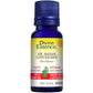 Divine Essence Fir Balsam Essential Oil (Organic), 15ml