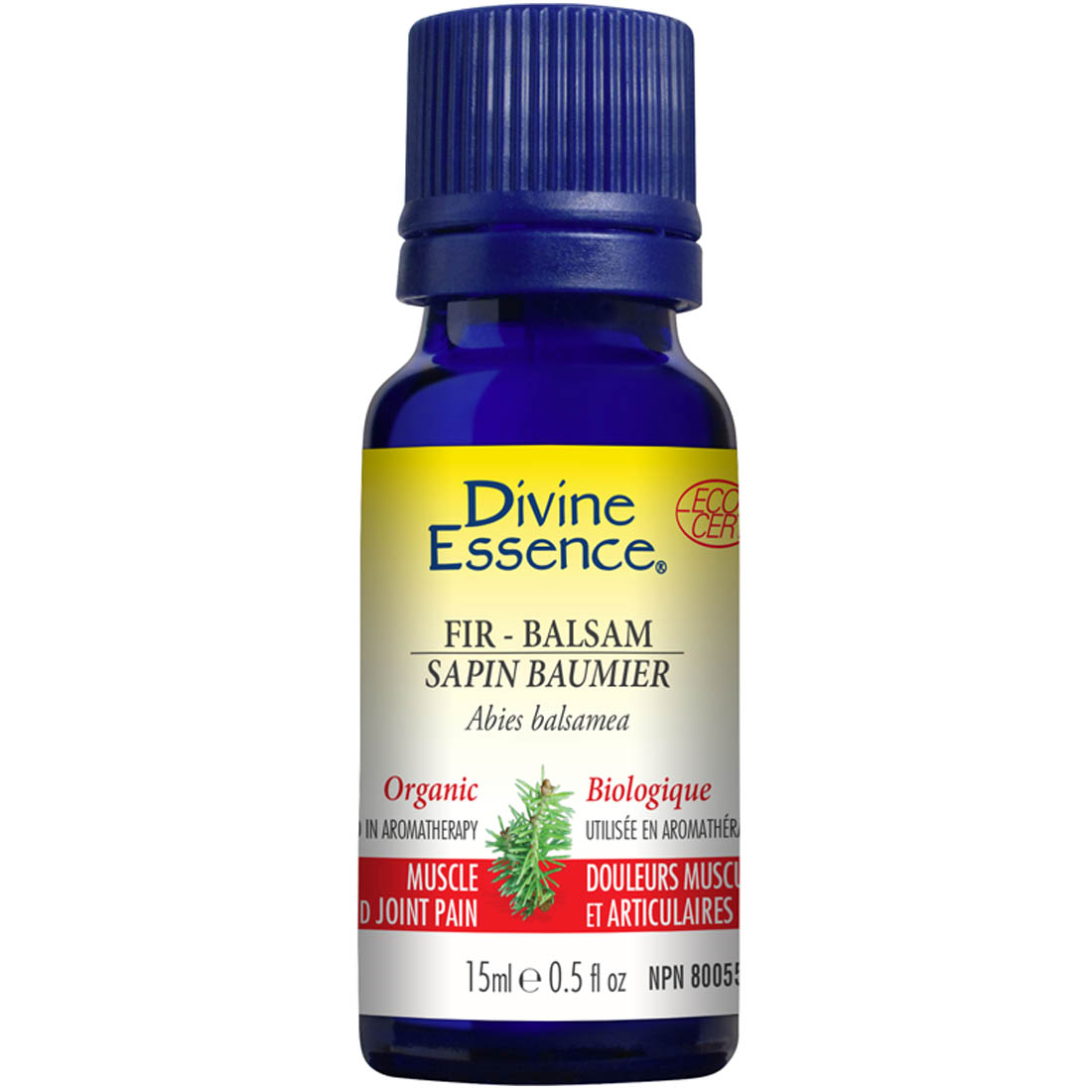 Divine Essence Fir Balsam Essential Oil (Organic), 15ml
