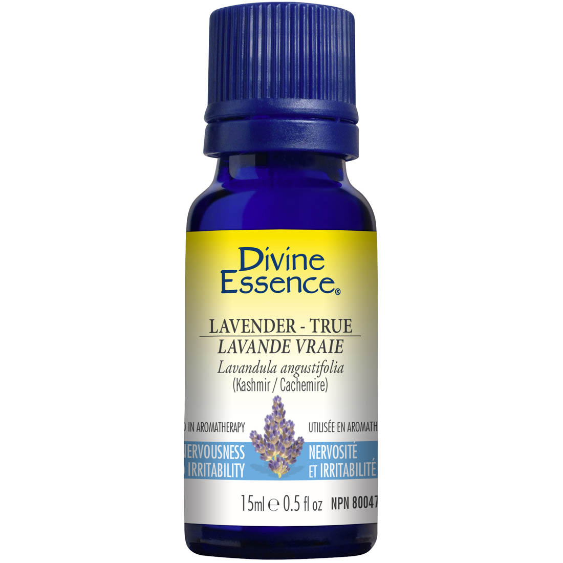 Divine Essence Lavender - True - Kashmir Essential Oil, 15ml