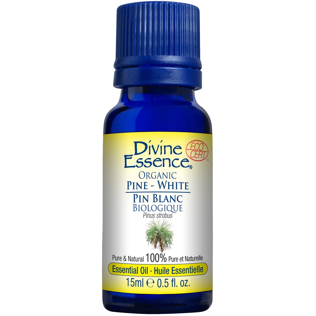 Divine Essence Pine - White Essential Oil (Organic), 15ml